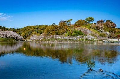 🏞️ 렌게지이케 공원 이미지 2